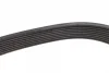 Ремінь генератора MB Atego 2/Axor 2 (OM926/OM924/OM902) 04- (8PK1920) 1 987 947 060 BOSCH 1-987-947-060 (фото 4)