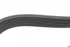 Ремінь генератора MB Atego (OM904) 98-04 (8PK1376) 1 987 947 090 BOSCH 1-987-947-090 (фото 4)