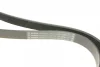 Ремінь генератора Renault Master 2.3 dCi 10- (7PK1753) 1 987 947 375 BOSCH 1-987-947-375 (фото 4)