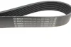 Ремінь генератора Daf CF/XF 12.9 05- (9PK1424) 1 987 947 380 BOSCH 1-987-947-380 (фото 3)