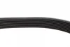 Ремінь генератора MB Atego/Axor/Econic/Cito 98- (8PK1365) (OM900/OM904) 1 987 947 397 BOSCH 1-987-947-397 (фото 4)