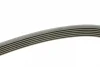 Ремінь генератора Skoda Octavia 1.4/1.6 96-10/BMW 5 (E60)/X5 (E53) 01-09 (N47/M62) (6PK1548) 1 987 947 547 BOSCH 1-987-947-547 (фото 2)