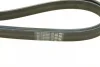 Ремінь генератора Chevrolet Lacetti/Nubira 2.0D 05- (6PK2094) 1 987 947 549 BOSCH 1-987-947-549 (фото 5)