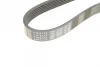 Ремінь генератора Porsche Cayenne 10-/Audi Q7 06-15/VW Touareg 3.0 TDI 04-18 (6PK2475) 1 987 947 553 BOSCH 1-987-947-553 (фото 5)