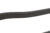 Ремінь генератора Chevrolet Captiva/Opel Antara 2.0CDTI 06- (6PK2065) 1 987 947 555 BOSCH 1-987-947-555 (фото 4)