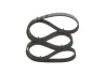 Ремінь генератора Renault Master 3.0dCi/Opel Movano 3.0dTi 03-/Toyota Rav4 2.0 06-13 (7PK1920) 1 987 947 556 BOSCH 1-987-947-556 (фото 1)