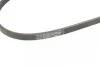 Ремінь генератора Honda CR-V 2.0 16V 4WD 95-02/Subaru Forester/Impreza/Legacy 1.5-2.5 92-09 (4PK895) 1 987 947 559 BOSCH 1-987-947-559 (фото 4)
