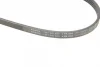 Ремінь генератора Honda CR-V 2.0 16V 4WD 95-02/Subaru Forester/Impreza/Legacy 1.5-2.5 92-09 (4PK895) 1 987 947 559 BOSCH 1-987-947-559 (фото 5)