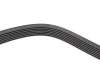 Ремінь генератора Nissan Qashqai 1.6 07-13/Honda CR-V 2.2 07- (7PK1815) 1 987 947 562 BOSCH 1-987-947-562 (фото 4)