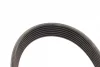 Ремень генератора BMW 3 (E90) 06-11 (M54) (7PK1855) 1 987 947 565 BOSCH 1-987-947-565 (фото 3)