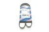 Ремінь генератора Peugeot Partner 1.6 VTi 08-/Renault Kangoo/Scenic 1.5dCi/1.6 13- (6PK1205) 1 987 947 577 BOSCH 1-987-947-577 (фото 1)