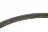 Ремінь генератора Peugeot Partner 1.6 VTi 08-/Renault Kangoo/Scenic 1.5dCi/1.6 13- (6PK1205) 1 987 947 577 BOSCH 1-987-947-577 (фото 2)