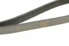 Ремінь генератора Peugeot Partner 1.6 VTi 08-/Renault Kangoo/Scenic 1.5dCi/1.6 13- (6PK1205) 1 987 947 577 BOSCH 1-987-947-577 (фото 3)
