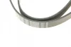 Ремінь генератора Peugeot Partner 1.6 VTi 08-/Renault Kangoo/Scenic 1.5dCi/1.6 13- (6PK1205) 1 987 947 577 BOSCH 1-987-947-577 (фото 4)