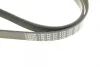Ремінь генератора Peugeot Partner 1.6 VTi 08-/Renault Kangoo/Scenic 1.5dCi/1.6 13- (6PK1205) 1 987 947 577 BOSCH 1-987-947-577 (фото 5)