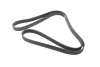 Ремінь генератора Land Rover Range Rover/Toyota Land Cruiser 120 4.0i/4.6 94-10 (7PK2120) 1 987 947 579 BOSCH 1-987-947-579 (фото 5)