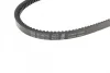Ремінь генератора Iveco/Nissan/Volvo (13x1075) 1 987 947 657 BOSCH 1-987-947-657 (фото 3)