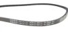 Ремінь генератора Daf 75/Man Lion\'s City/SG/SU 80- (13x1625) 1 987 947 751 BOSCH 1-987-947-751 (фото 4)