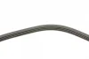 Ремінь генератора Mitsubishi Pajero 3.0 V6 90-00/ Chevrolet Matiz 1.0 05- (4PK954) 1 987 947 808 BOSCH 1-987-947-808 (фото 3)
