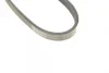 Ремінь генератора Mitsubishi Pajero 3.0 V6 90-00/ Chevrolet Matiz 1.0 05- (4PK954) 1 987 947 808 BOSCH 1-987-947-808 (фото 6)