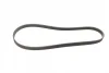 Ремінь генератора поліклиновий Fiat Scudo 2.0 JTD 99-06 (5PK970) 1 987 947 812 BOSCH 1-987-947-812 (фото 5)
