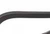 Ремінь генератора Toyota Camry 1.8-2.2 83-02/Rav4 2.0 94-00/Mazda 626 II 1.6/2.0 82-87 (5PK1000) 1 987 947 814 BOSCH 1-987-947-814 (фото 4)