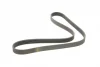 Ремінь генератора Renault Kangoo 1.9D 97-/Mazda 3/6/CX-5 2.2D 12-/Fiat Scudo 2.0 00-06 (6PK1190) 1 987 947 818 BOSCH 1-987-947-818 (фото 2)