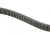Ремінь генератора Renault Kangoo 1.9D 97-/Mazda 3/6/CX-5 2.2D 12-/Fiat Scudo 2.0 00-06 (6PK1190) 1 987 947 818 BOSCH 1-987-947-818 (фото 3)