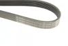 Ремінь генератора Renault Kangoo 1.9D 97-/Mazda 3/6/CX-5 2.2D 12-/Fiat Scudo 2.0 00-06 (6PK1190) 1 987 947 818 BOSCH 1-987-947-818 (фото 5)