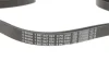 Ремінь генератора MB Sprinter 2.9TDI (-AC)/MB Vito (W638) 96- (6PK2080) 1 987 947 824 BOSCH 1-987-947-824 (фото 3)
