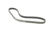 Ремінь генератора Honda Accord 2.0 EX-97 (5PK930) 1 987 947 825 BOSCH 1-987-947-825 (фото 2)
