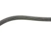 Ремінь генератора Honda Accord 2.0 EX-97 (5PK930) 1 987 947 825 BOSCH 1-987-947-825 (фото 3)