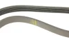 Ремінь генератора Honda Accord 2.0 EX-97 (5PK930) 1 987 947 825 BOSCH 1-987-947-825 (фото 4)