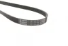 Ремінь генератора Renault Kangoo 1.2i 97-/Subaru Impreza 2.0 05-07/Nissan Pathfinder 4.0 05- (5PK875) 1 987 947 829 BOSCH 1-987-947-829 (фото 2)