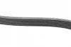 Ремінь генератора MB OM601/602 (6PK1980) 1 987 947 832 BOSCH 1-987-947-832 (фото 3)