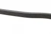 Ремінь генератора Ford Transit 1.8 16V 02-13/MB Sprinter/Vito (W638) 95-03 (6PK2100) 1 987 947 833 BOSCH 1-987-947-833 (фото 4)