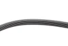 Ремень генератора BMW 3 (E46)/5 (E39) 1.8D/2.0D 98-03 (5PK836) 1 987 947 836 BOSCH 1-987-947-836 (фото 4)