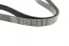 Ремінь генератора VW Crafter 2.0TDI 11-16/Golf 1.4/1.6 97-05/Audi A1/A2/A4 1.4-2.0 01-18 (6PK1080) 1 987 947 842 BOSCH 1-987-947-842 (фото 3)
