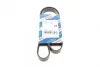 Ремінь генератора Citroen Jympy/Peugeot 3008/5008/Expert 2.0BlueHDi 16- (6PK1230) 1 987 947 885 BOSCH 1-987-947-885 (фото 1)