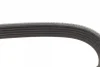 Ремінь генератора Citroen Jympy/Peugeot 3008/5008/Expert 2.0BlueHDi 16- (6PK1230) 1 987 947 885 BOSCH 1-987-947-885 (фото 4)