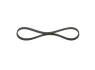 Ремінь генератора Renault Kangoo 1.6i 08-/ Nissan Micra1.0-1.4 92-03 (4PK725) 1 987 947 889 BOSCH 1-987-947-889 (фото 3)