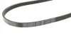 Ремінь генератора поліклиновий Hyundai Tucson/i30/Kia Sportage/Carens/Ceed/Suzuki Grand Vitara 04-/Audi/BMW/Mazda 1 987 947 898 BOSCH 1-987-947-898 (фото 3)