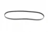 Ремінь генератора Renault Kangoo/Clio 1.2i 97-/Fiat Scudo 1.6i 96-06/Nissan Kubistar 1.2 03- (4PK905) 1 987 947 899 BOSCH 1-987-947-899 (фото 5)