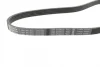 Ремінь генератора Citroen Berlingo 1.1/1.6 96- (5PK884) 1 987 947 912 BOSCH 1-987-947-912 (фото 2)