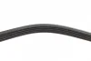 Ремінь генератора Citroen Berlingo 1.1/1.6 96- (5PK884) 1 987 947 912 BOSCH 1-987-947-912 (фото 3)