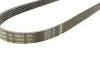 Ремінь генератора BMW 3 (E36)/5 (E34/E39) 2.0/2.5i 90-00/Ford Focus 2.5 05-12/Volvo C30/C70 04-13 1 987 947 913 BOSCH 1-987-947-913 (фото 3)