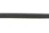 Ремінь генератора BMW 3 (E36)/5 (E34/E39) 2.0/2.5i 90-00/Ford Focus 2.5 05-12/Volvo C30/C70 04-13 1 987 947 913 BOSCH 1-987-947-913 (фото 4)