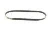 Ремінь генератора BMW 3 (E36)/5 (E34/E39) 2.0/2.5i 90-00/Ford Focus 2.5 05-12/Volvo C30/C70 04-13 1 987 947 913 BOSCH 1-987-947-913 (фото 5)