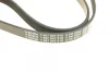 Ремінь генератора Fiat Ducato 1.9D/TD/Peugeot 106 1.5D 94-04/Mitsubishi Lancer 1.3 98-04 (5PK962) 1 987 947 918 BOSCH 1-987-947-918 (фото 4)