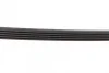 Ремінь генератора Mazda 626 1.8-2.2 86-96/Opel Kadett 1.6 86-94/Ford Escort 1.8D 88-95 (5PK1010) 1 987 947 921 BOSCH 1-987-947-921 (фото 3)